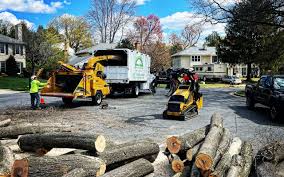 Best Hazardous Tree Removal  in Hawthorne, NV